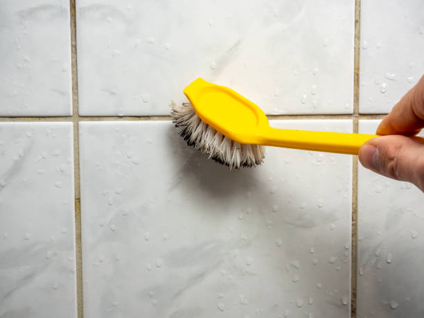 Best Mold Removal Near Me  in Prieville, NC