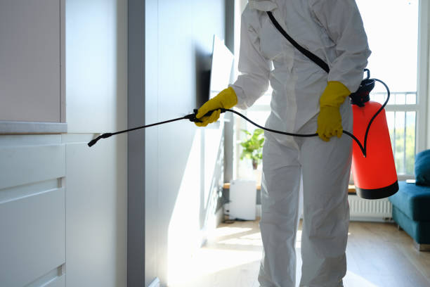 Best Mold Removal Specialists  in Prieville, NC