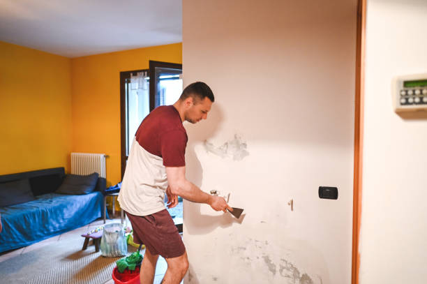 Best Certified Mold Removal  in Prieville, NC